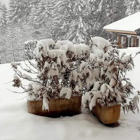 Avec Vue Sur Le Mont Blanc - 22 M² - *