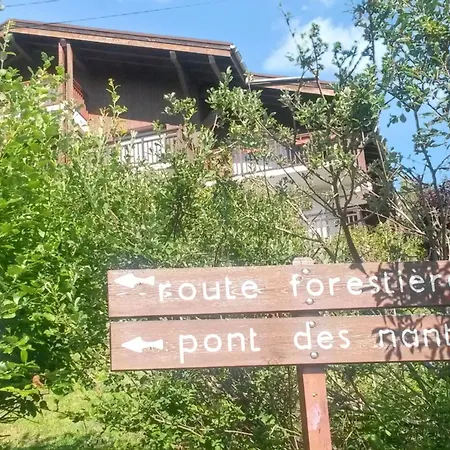 Lejlighed Avec Vue Sur Le Mont Blanc - 22 M² - Cordon