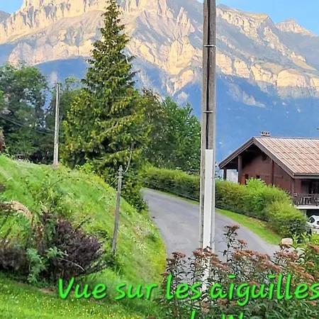 Avec Vue Sur Le Mont Blanc - 22 M² - Apartment