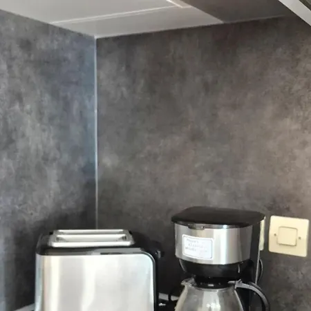 Avec Vue Sur Le Mont Blanc - 22 M² - * Cordon