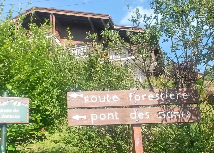 Apartmán Avec Vue Sur Le Mont Blanc - 22 M² - Cordon